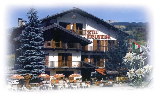 Hotel Edelweiss & Spa Cesana Torinese Eksteriør bilde